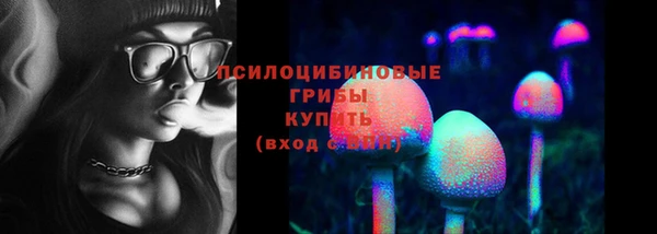 винт Пестово
