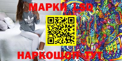 ALPHA PVP Бийск