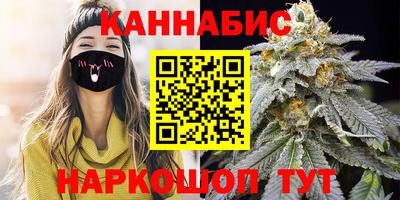 сатива Гай