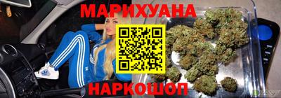 сатива Гай