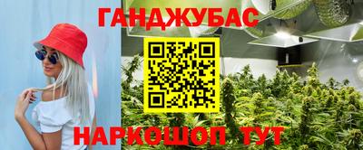 гидропоника Гатчина
