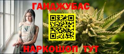 сатива Гай