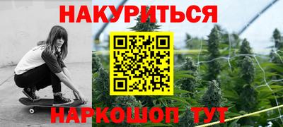 сатива Гай