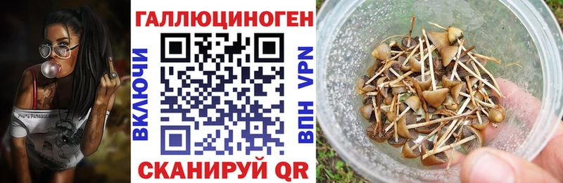 ОМГ ОМГ ссылка  Семилуки  Псилоцибиновые грибы Cubensis 