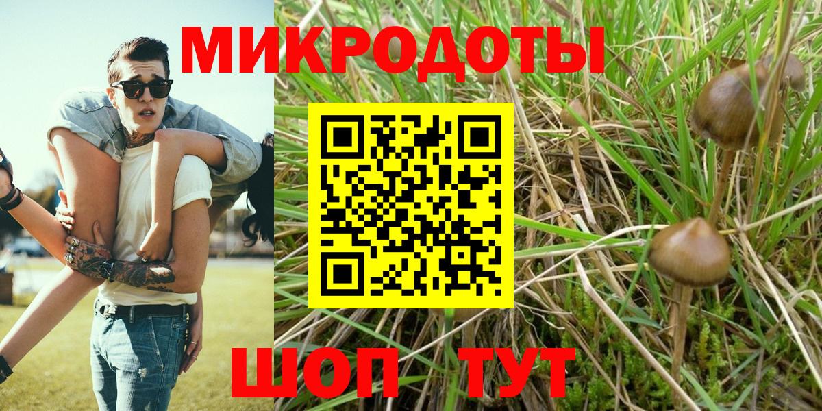 Галлюциногенные грибы ЛСД Семилуки