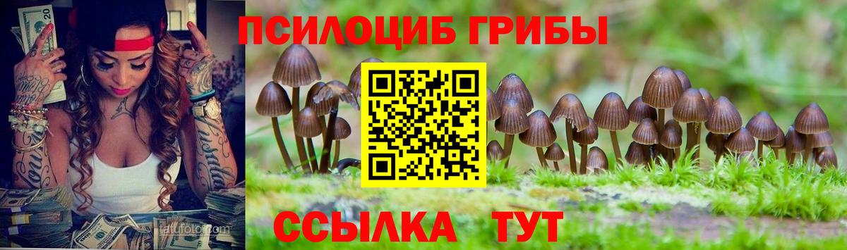 сколько стоит  Семилуки  Псилоцибиновые грибы Psilocybe 