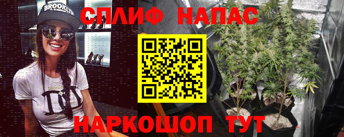 Марихуана ГИДРОПОН  Шишки марихуана OG Kush  Семилуки  Вход с VPN 